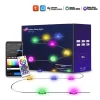 Smart RGB LED Udendørs Strenglys 10M/20LED Produkt