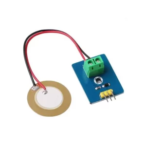Ceramic Piezo Shock Vibration Module Produkt